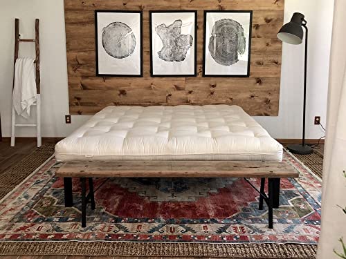 Best Organic Futon Mattress