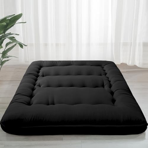 Best Queen Size Futon Mattress