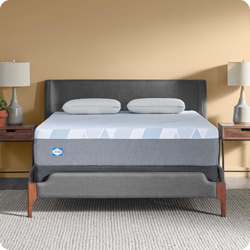 Best Sealy Mattress for Bad Back