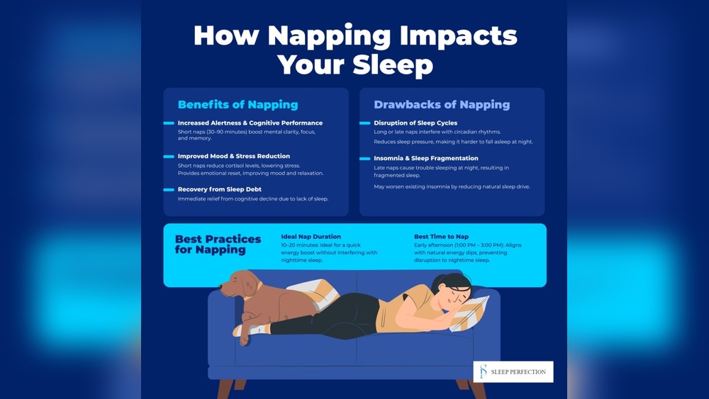 Can Short Naps Replace Night Sleep?