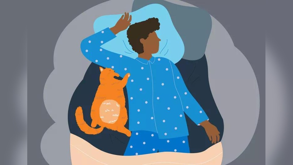 Can You Make Up for Lost Sleep?