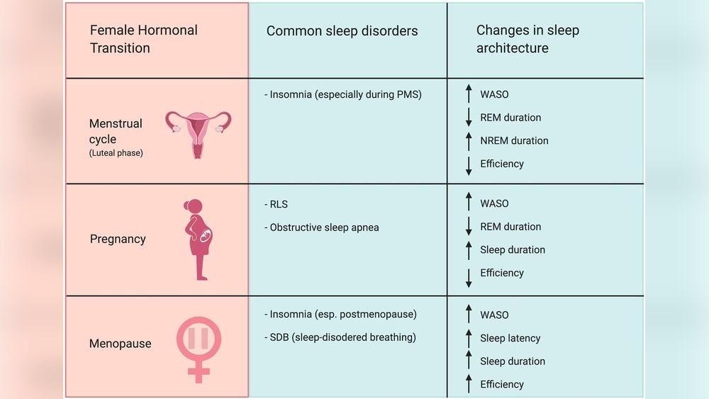 Hormonal Changes That Happen During Sleep