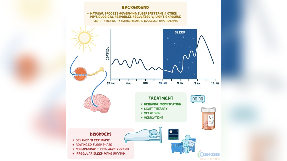 How Light Affects the Sleep-Wake Cycle
