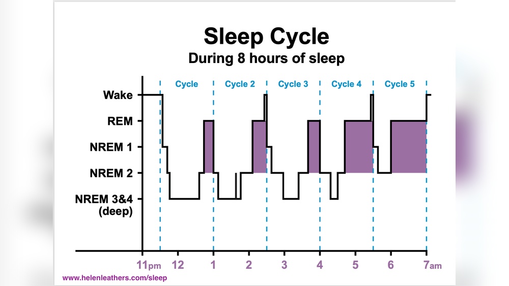 How Many Sleep Cycles Do You Need Per Night?