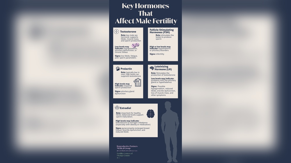 How Sleep Affects Testosterone And Estrogen