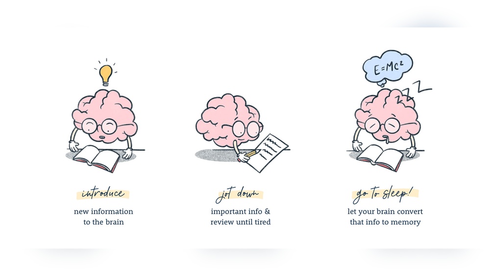 How Sleep Improves Memory