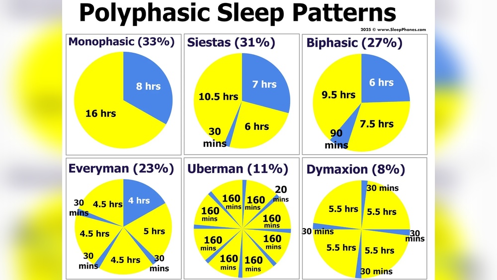 Is Polyphasic Sleep Healthy?