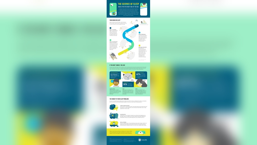 Sleep And Decision-Making: The Science