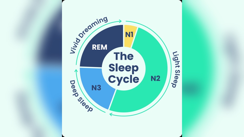 What Are Sleep Cycles?