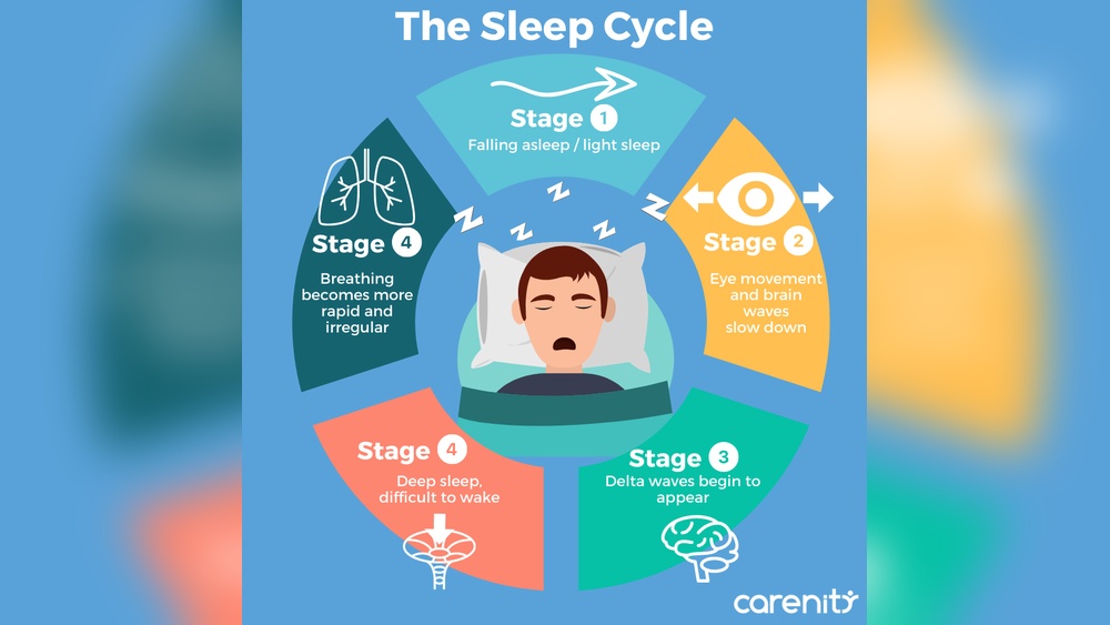 What Happens to Your Body While You Sleep?