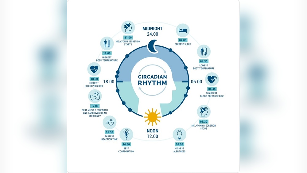 What Is the Circadian Rhythm?