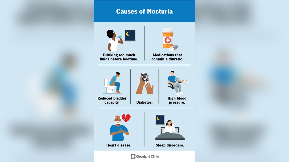 Why Alcohol Causes Nighttime Wake-Ups